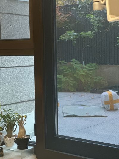 徐嘉文未编辑专业未编辑专业未编辑专业