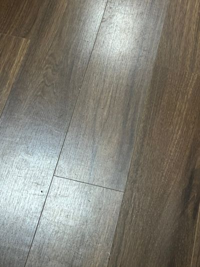 无未编辑专业未编辑专业未编辑专业