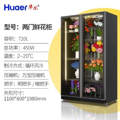姚璇子未编辑专业未编辑专业未编辑专业