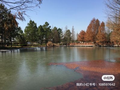 冯女士未编辑专业未编辑专业未编辑专业