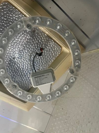 许飞未编辑专业未编辑专业未编辑专业