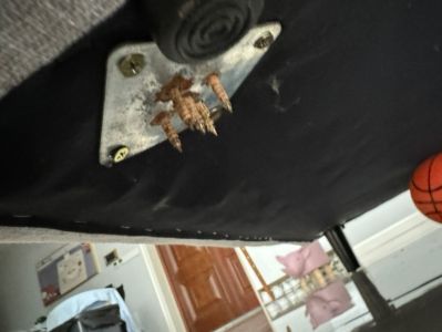 郭未编辑专业未编辑专业未编辑专业