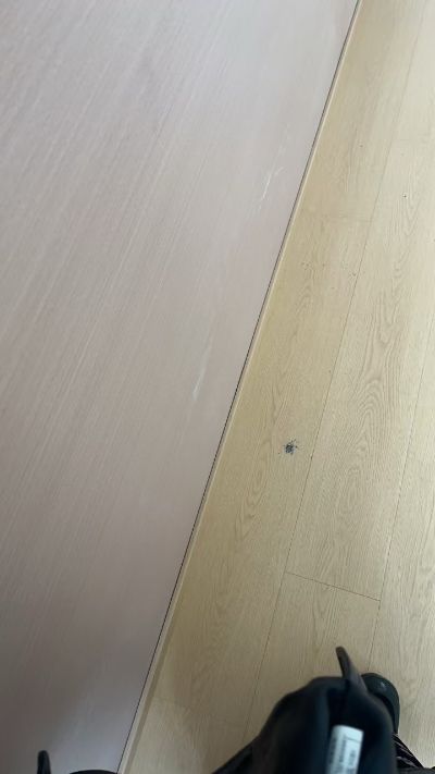 李建国未编辑专业未编辑专业未编辑专业