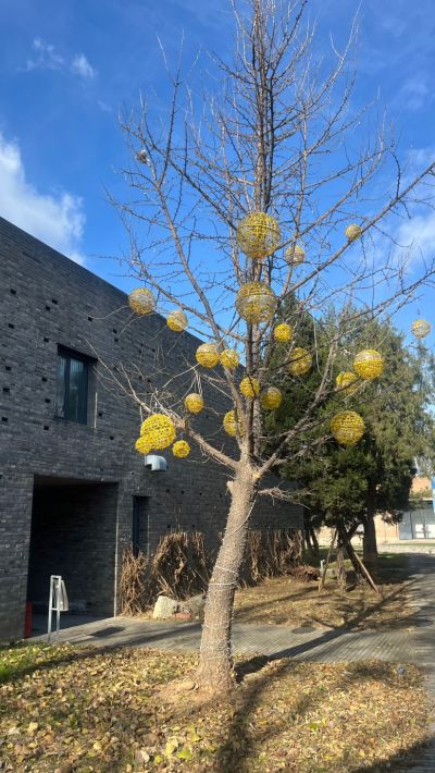 广彩霞未编辑专业未编辑专业未编辑专业