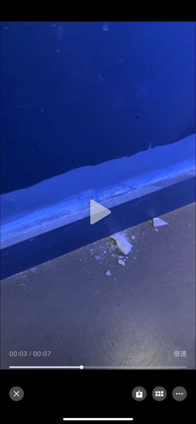 饶桂鑫未编辑专业未编辑专业未编辑专业