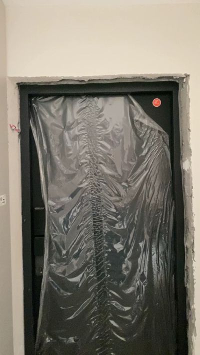 林一未编辑专业未编辑专业未编辑专业