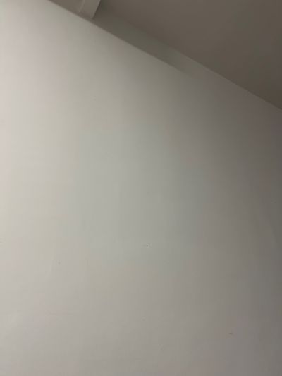 毛娟辉未编辑专业未编辑专业未编辑专业