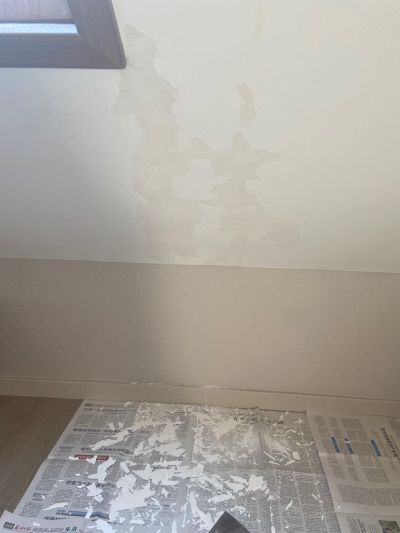 张梦皎未编辑专业未编辑专业未编辑专业