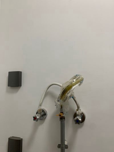 郑理中未编辑专业未编辑专业未编辑专业