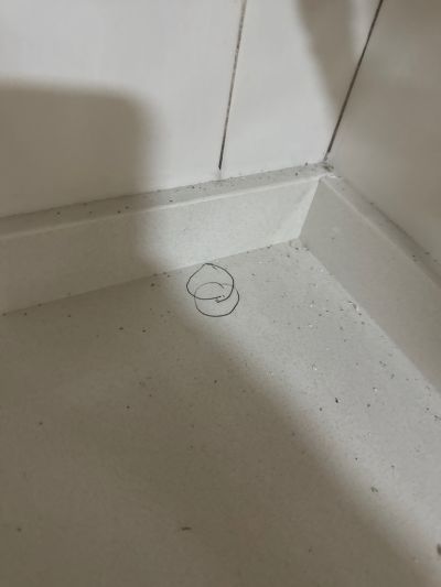 曾煜宏未编辑专业未编辑专业未编辑专业