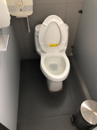 郑小东未编辑专业未编辑专业未编辑专业