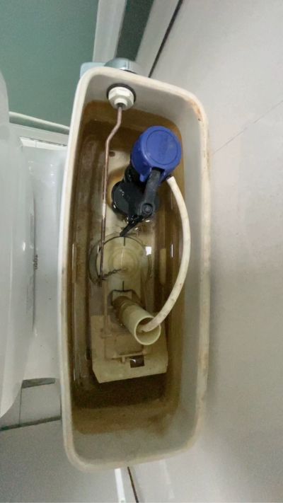 陈未编辑专业未编辑专业未编辑专业