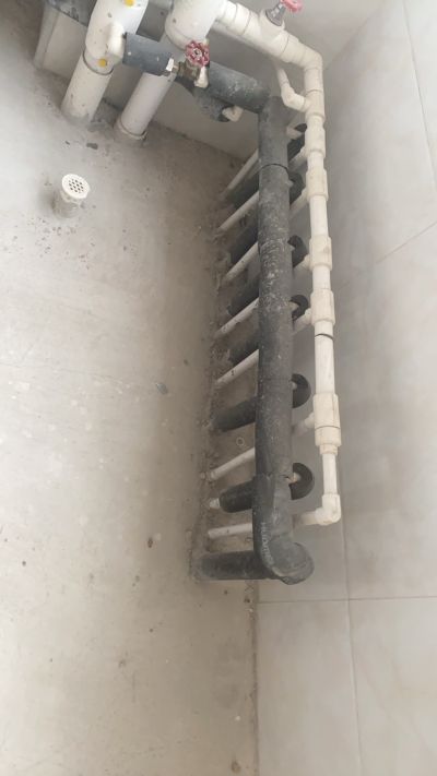 黄绍东未编辑专业未编辑专业未编辑专业