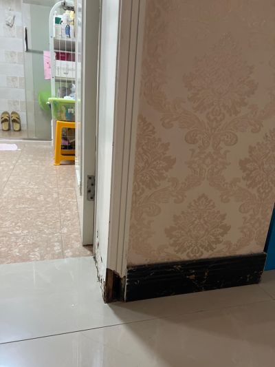 陶小陶未编辑专业未编辑专业未编辑专业