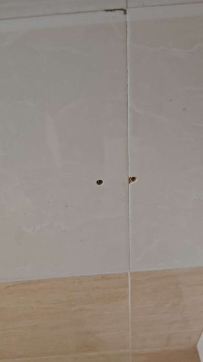 家电维修家具维修家政保洁家电清洗