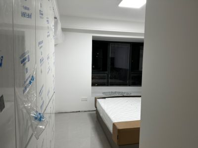 陈未编辑专业未编辑专业未编辑专业