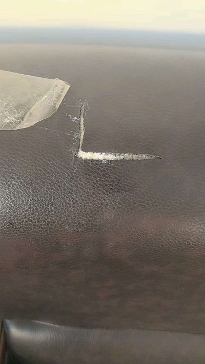 家电维修家具维修家政保洁家电清洗