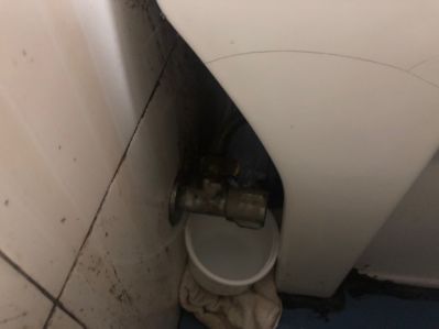 项巧巧未编辑专业未编辑专业未编辑专业