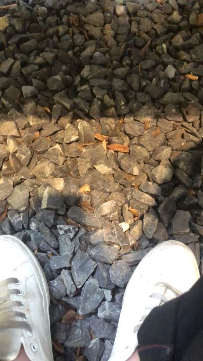 李莫凡未编辑专业未编辑专业未编辑专业