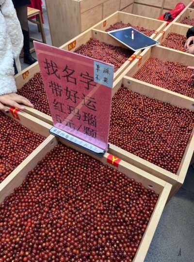无未编辑专业未编辑专业未编辑专业