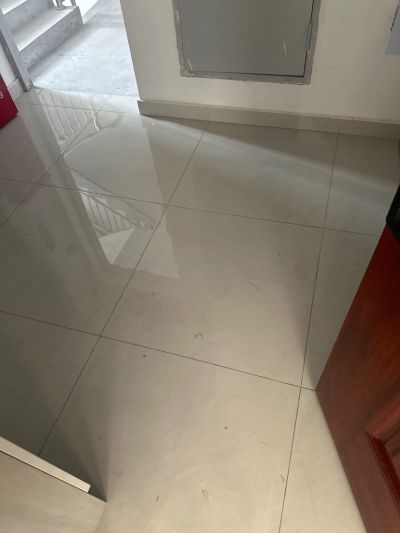 朱礼未编辑专业未编辑专业未编辑专业
