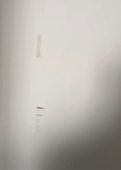 曹树义未编辑专业未编辑专业未编辑专业