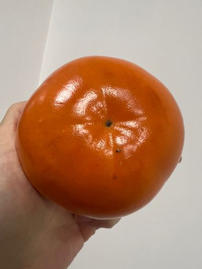 任睆月未编辑专业未编辑专业未编辑专业