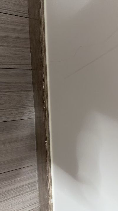 江先生未编辑专业未编辑专业未编辑专业
