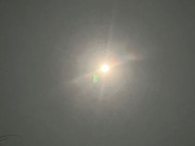 李一桐未编辑专业未编辑专业未编辑专业