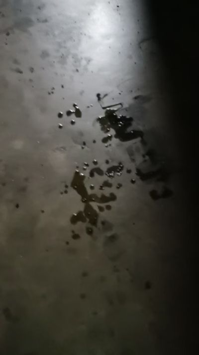 凤云未编辑专业未编辑专业未编辑专业