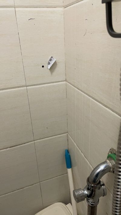 杨峰未编辑专业未编辑专业未编辑专业