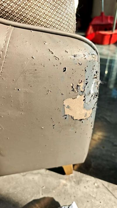 家电维修家具维修家政保洁家电清洗