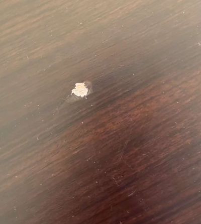 家电维修家具维修家政保洁家电清洗