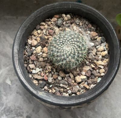 贺未编辑专业未编辑专业未编辑专业