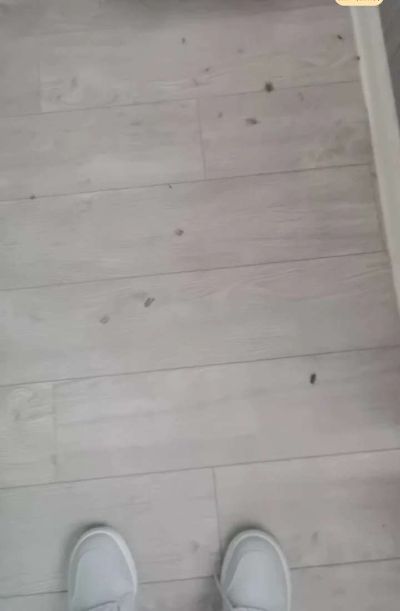 家电维修家具维修家政保洁家电清洗