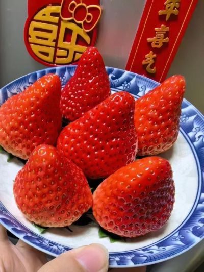 陈图图未编辑专业未编辑专业未编辑专业