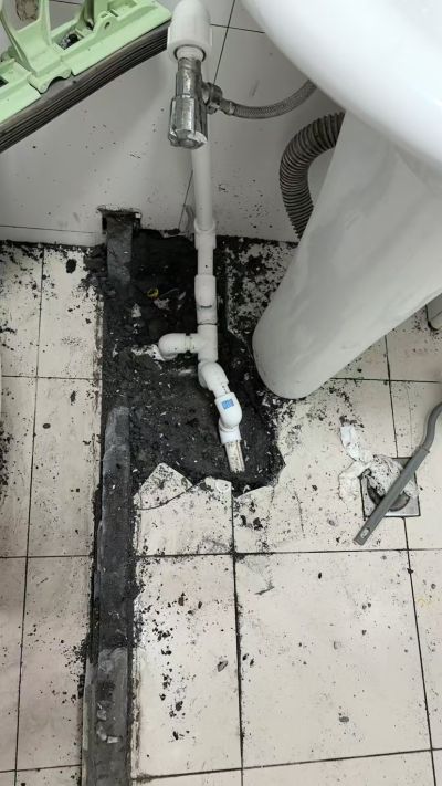 麦新晨未编辑专业未编辑专业未编辑专业