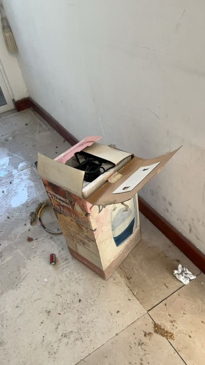 肖生未编辑专业未编辑专业未编辑专业