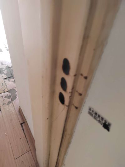 无家政服务油漆工油漆水电木工