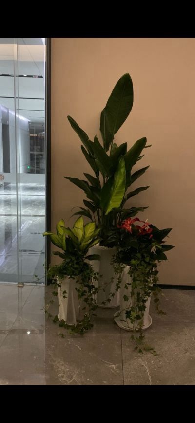 无未编辑专业未编辑专业未编辑专业