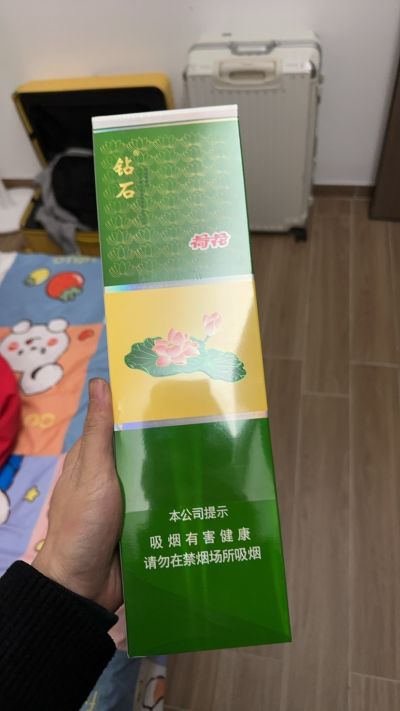 廖春明装修家具安装未编辑专业