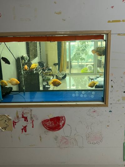 李先生未编辑专业未编辑专业未编辑专业