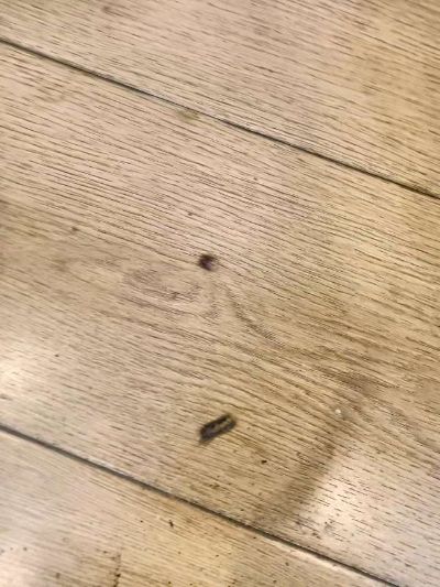 家电维修家具维修家政保洁家电清洗