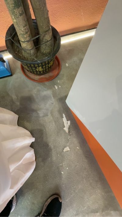 陈钱霖未编辑专业未编辑专业未编辑专业