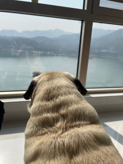 无未编辑专业未编辑专业未编辑专业