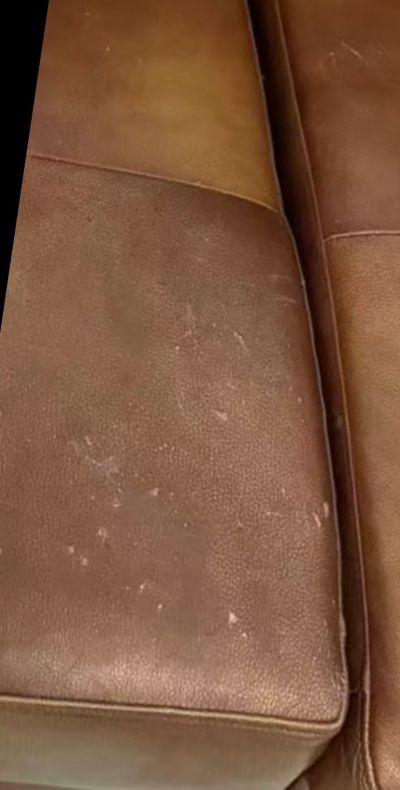 刘建未编辑专业未编辑专业未编辑专业