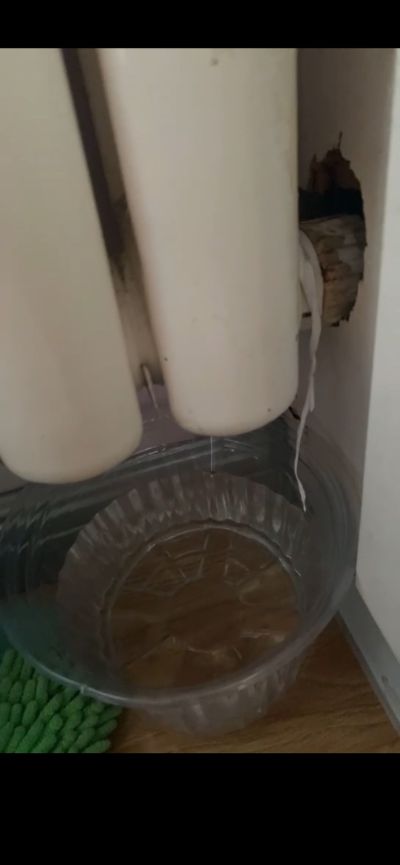 王景涛未编辑专业未编辑专业未编辑专业