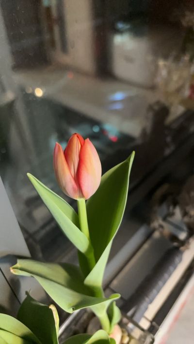 李彪未编辑专业未编辑专业未编辑专业