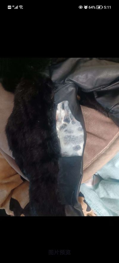 家电维修家具维修家政保洁家电清洗