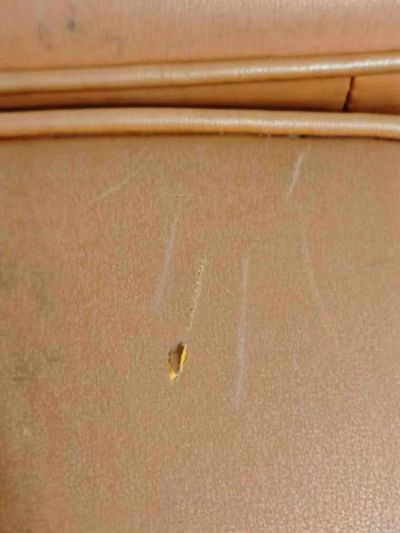 家电维修家具维修家政保洁家电清洗